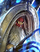 Champion Image