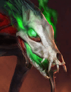 Champion Image