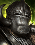 Champion Image
