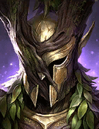 Champion Image