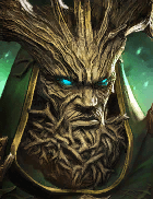 Champion Image