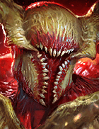 Champion Image