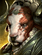 Champion Image