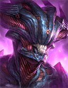 Champion Image