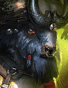 Champion Image