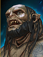 Champion Image