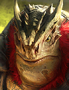 Champion Image