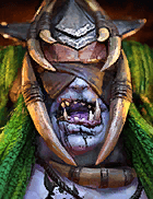 Champion Image