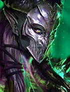 Champion Image
